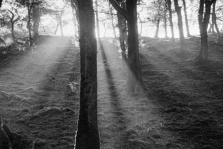 Sunset at Sheeffry, County Mayo, Ireland, 1985, Gelatin silver print