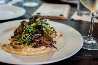 Grilled Calamari from Volturno on Shrewsbury Street in Worcester, MA