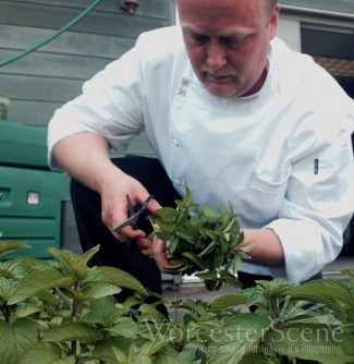 Chef Bill Nemeroff of Ceres Bistro using fresh ingredients for his dishes