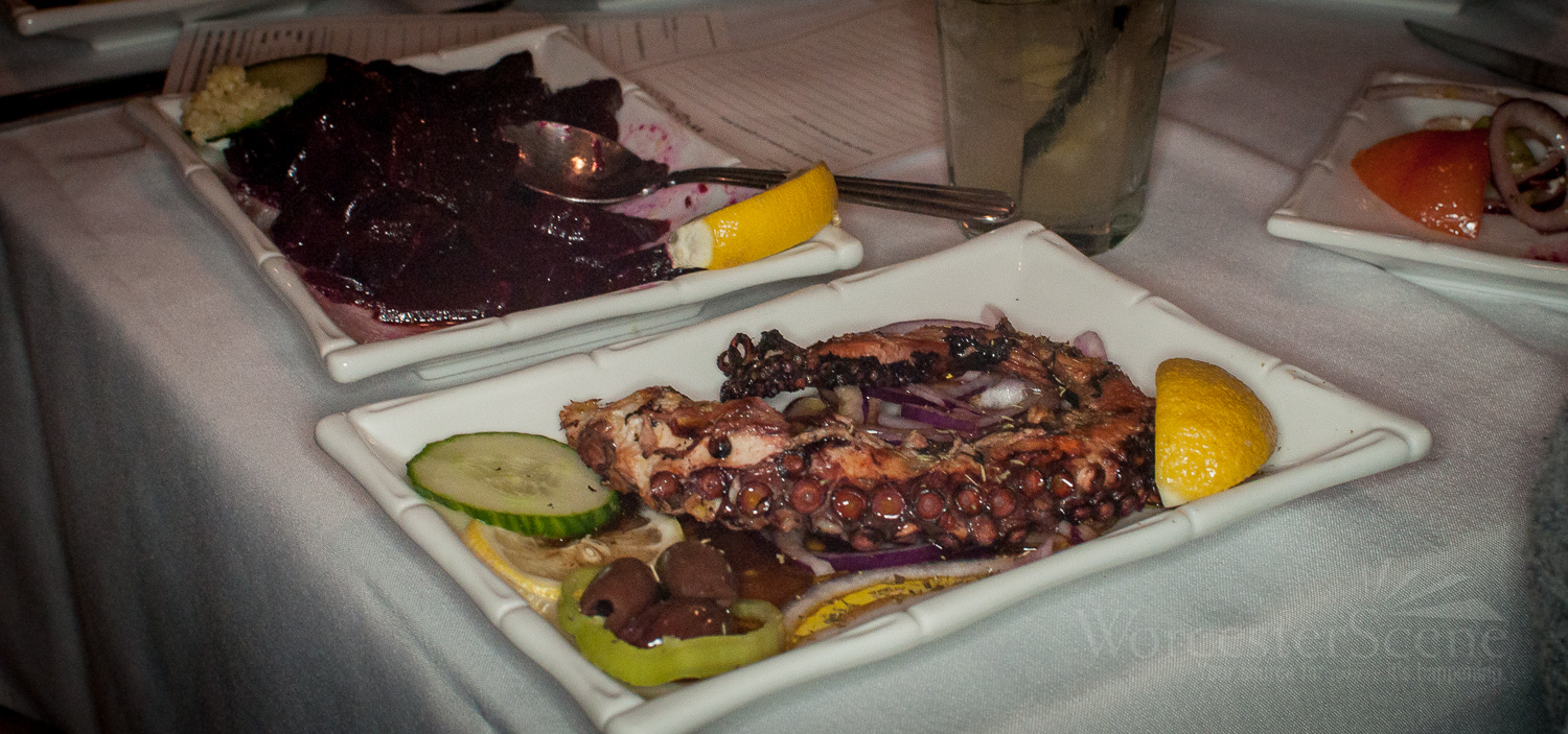 Octopus from Meze on Shrewsbury Street in Worcester, MA