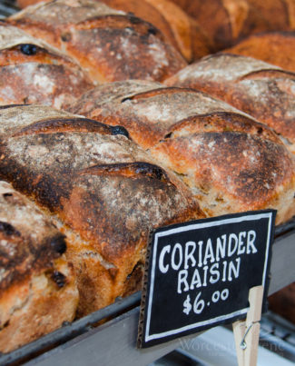 Coriander Raisin Loaves at BirchTree Bread Co. Photo by Alex for WorcesterScene.com