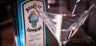 Bombay Sapphire Gin Martini in Worcester, MA