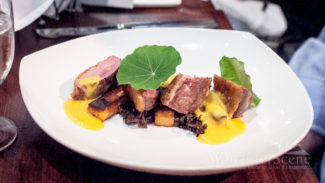 Seared Duck Breast at The Urban on Shrewsbury Street in Worcester, MA