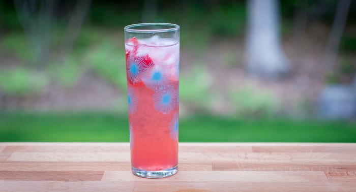 Shrubs Gin And Tonic