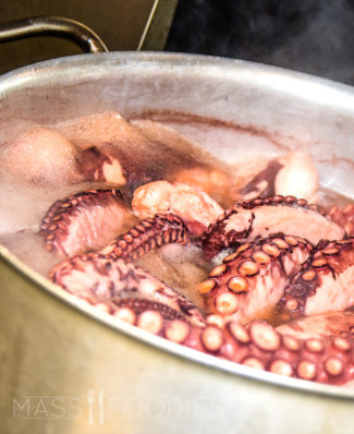 Boiling the octapodi at Mezé on Shrewsbury Street in Worcester, MA
