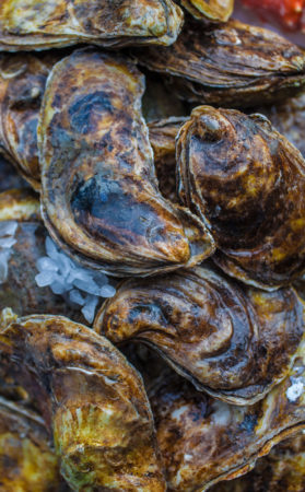OysterFest at Sole Proprietor