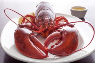Chef Hawley likes “Italianizing” the lobster for VIA Italian Table’s Famous Lobster Fest Promotion, back for another year, with Worcester Restaurant Group.