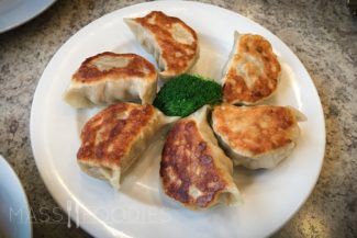 Pan Fried dumplings from Star Dumpling on Canal Street in Millbury, MA