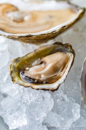Olympias from the raw bar at simjang on Shrewsbury Street in Worcester, MA (Erb Photo for Mass Foodies)