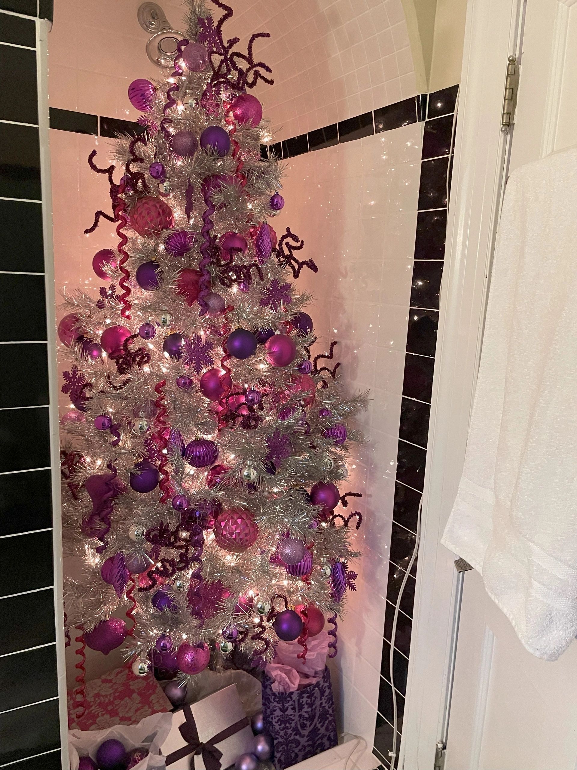 There's even a tree in one of the showers (photo by Christine Quirk)