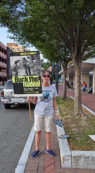 Animal rights groups organize bull riding event protest at DCU