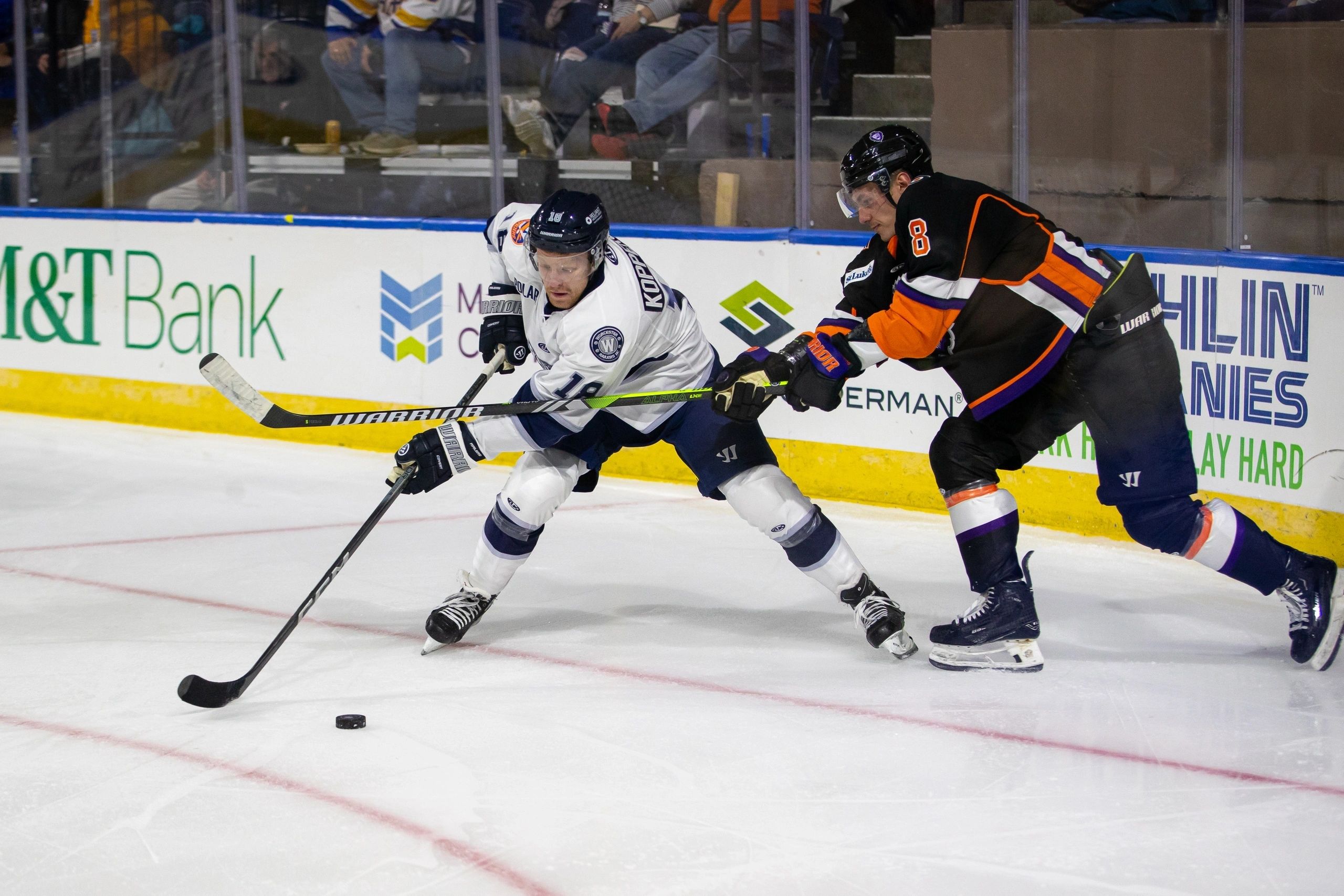 Matthew Kopperud is among two ECHL rookie scoring leaders(photo by Ben Schenck)