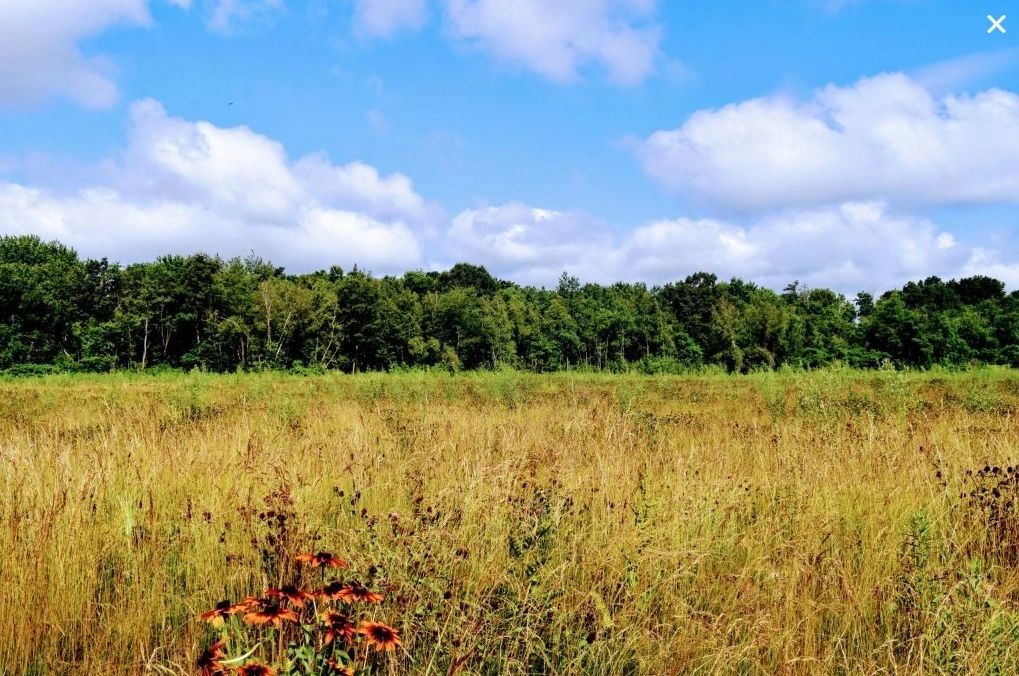 Conservation area Crow Hill is located on Harrington Way (photo credit: Greater Worcester Land Trust)