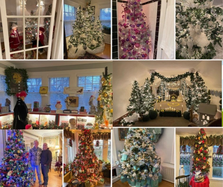 The gentlemen with 40 trees, a Christmas story