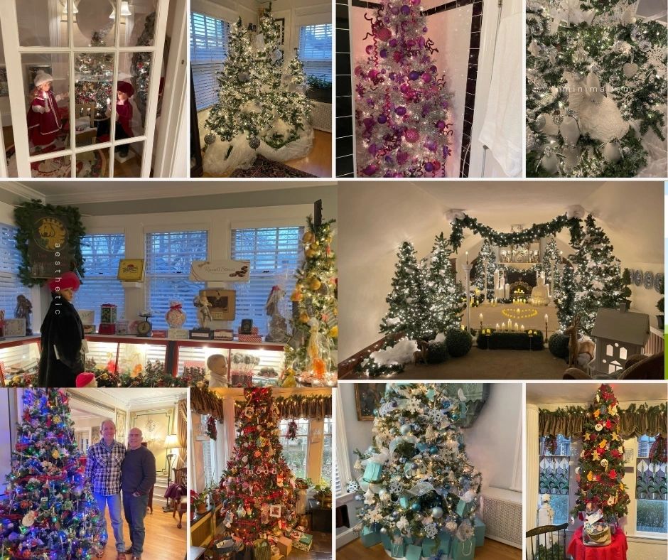 A handful of the 40 (maybe more) Christmas trees (photos by Christine Quirk)