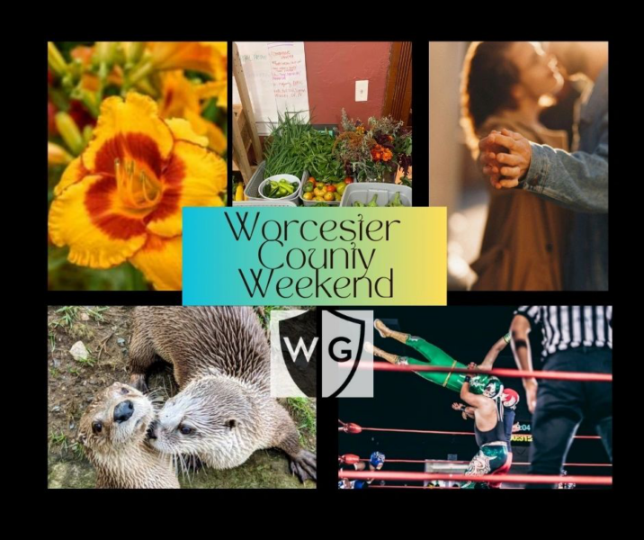 Daylily show, WWE, Otter breakfast: 5 fun things this weekend