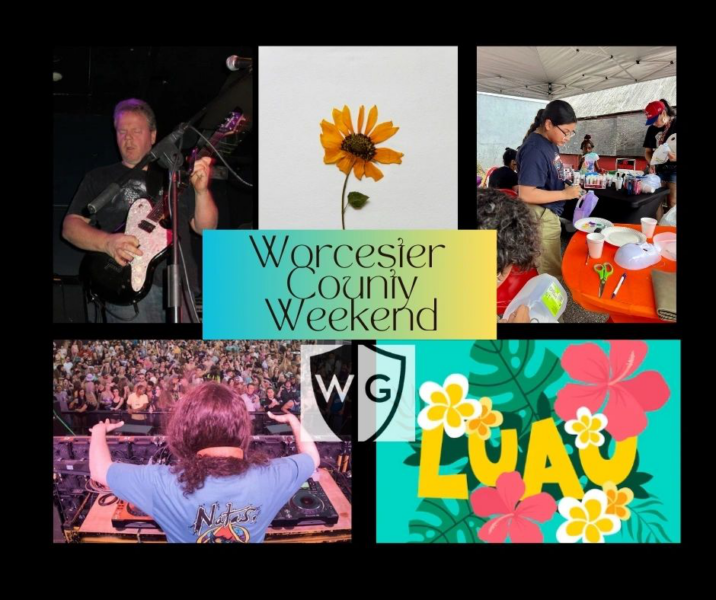 Hawaiian dance, kids fest, plant pressing: 5 fun things this week