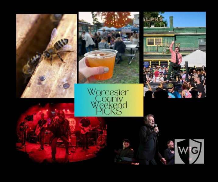 Bees, Mistress Carrie’s Bday, wrestling: 5 things this weekend