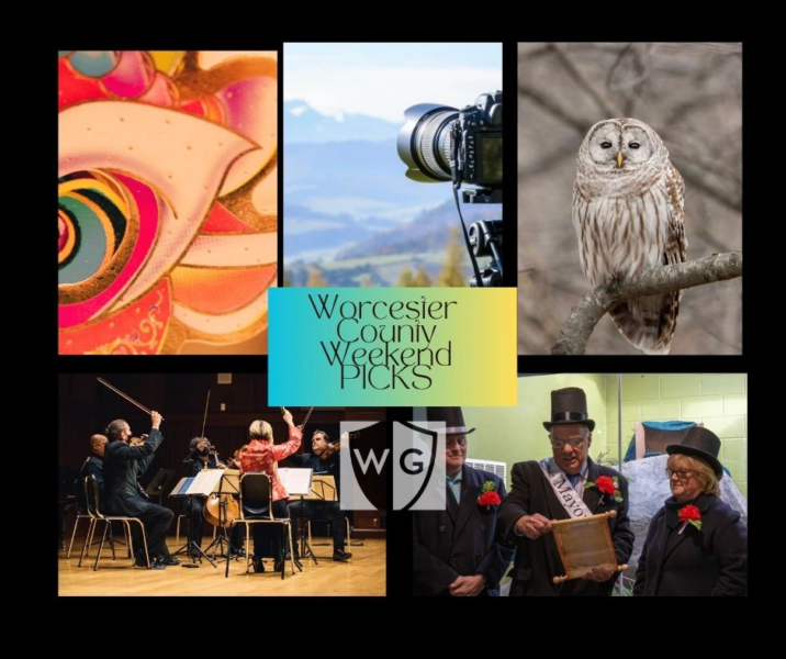 Groundhogs, Lunar NY, photo show, owls: 5 fun things this weekend