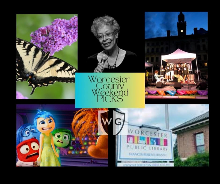 From block parties to butterflies: 5 fun things this weekend