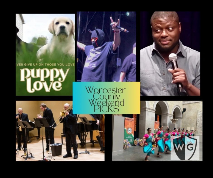 JOMP jazz, puppy love, comedy, Diwali: 5 fun things this weekend