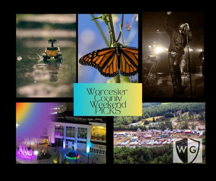 Butterflies, robots, pride dance, fair: 5 fun things this weekend