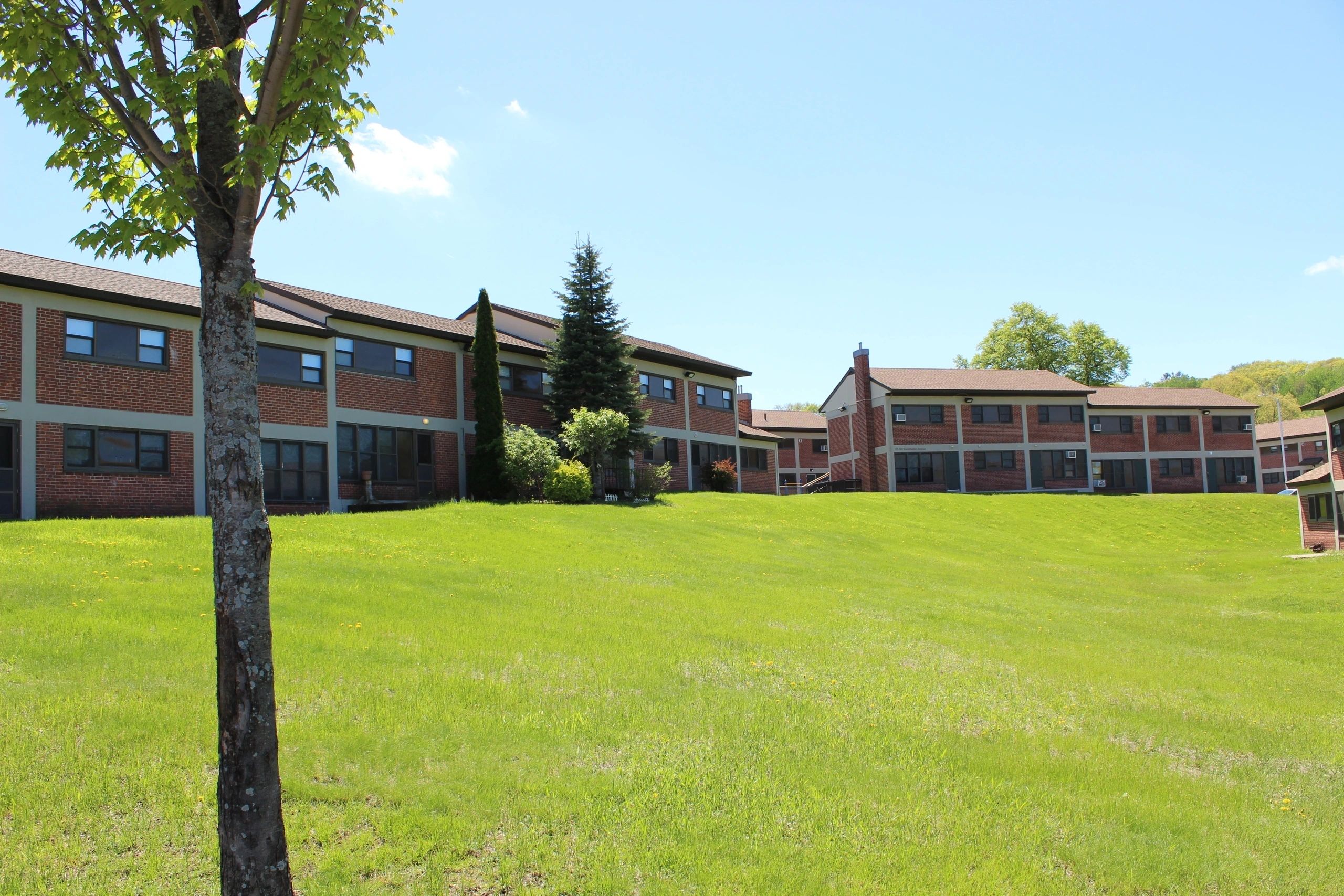 The Reframe Institute began its public facing work at the start of the year (photo submitted)