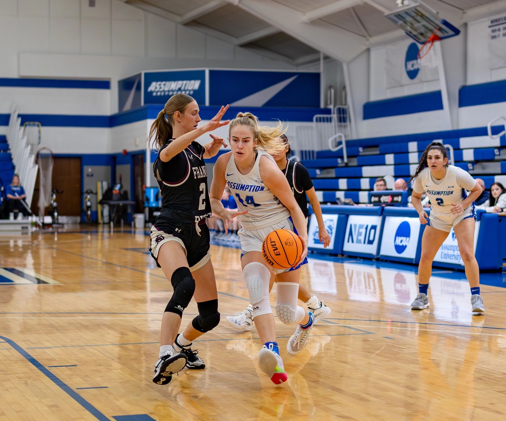 Assumption’s Marina Callahan was the top scorer and rebounder for the Greyhounds this season (photo credit: Assumption Athletics)