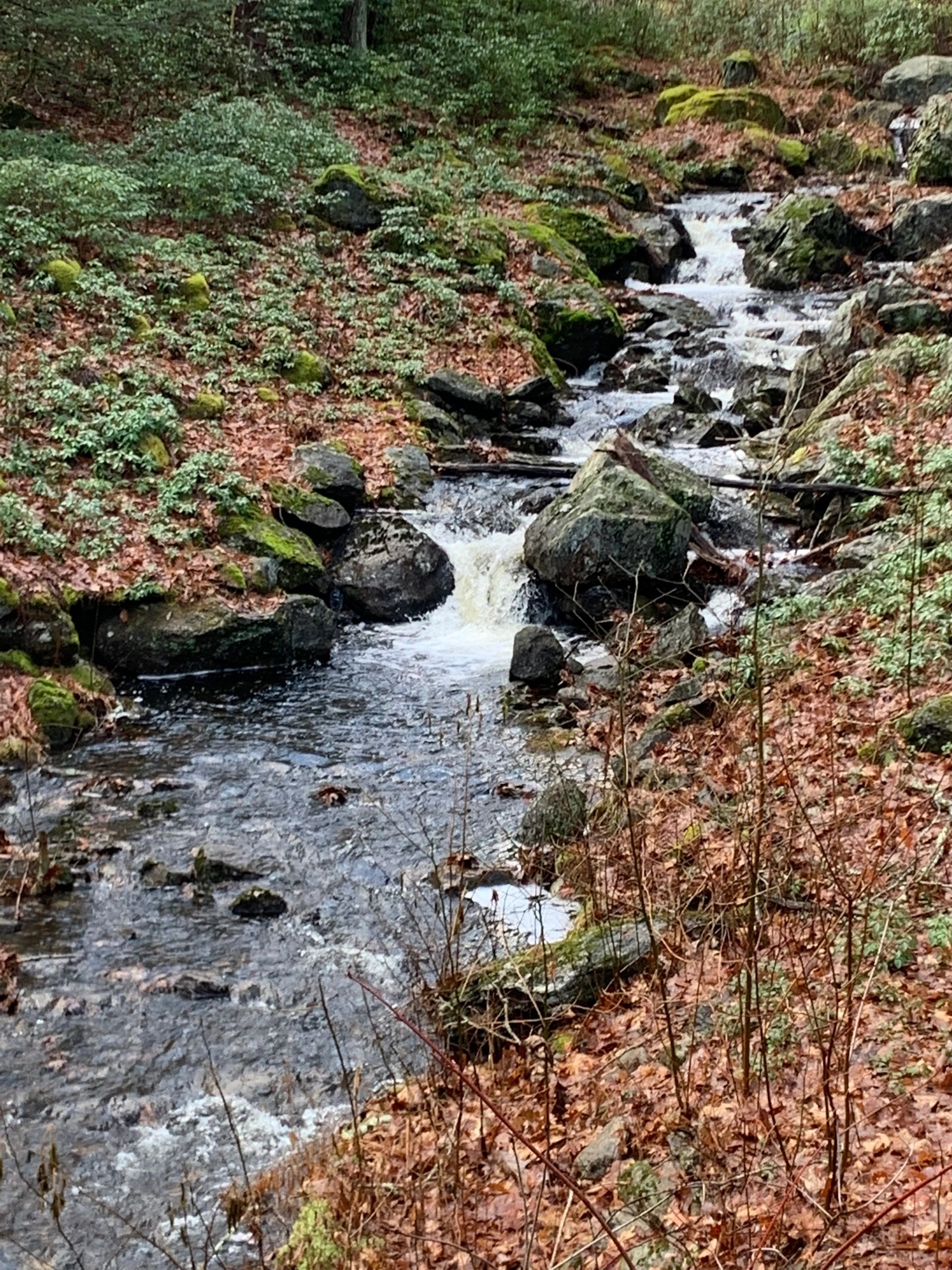 Scott's Brook in Holden as it descends Asnebunskit Hill and joins Tatnuck Brook (photo submitted)