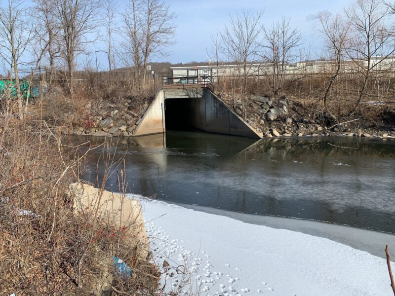 Tracing the true source of the Blackstone River