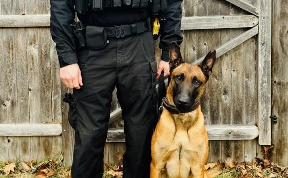 Worcester PD welcomes K9 Arnold to the squad