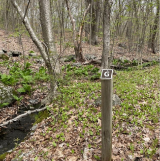 Perkins Farm (photo credit: Davey Resource Group)