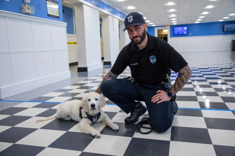 QCC welcomes Siggy, its first community resource dog