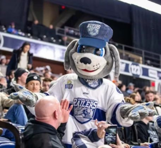 Photo via Worcester Railers