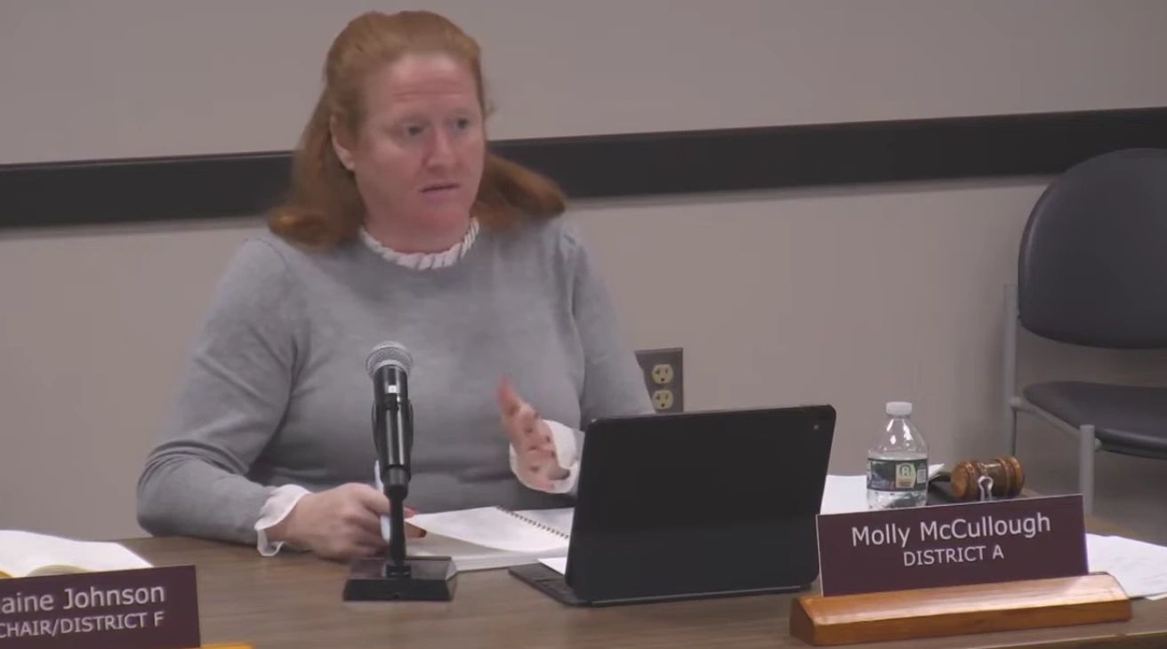 Committee member Molly McCullough mid discussion at Monday's FOG meeting