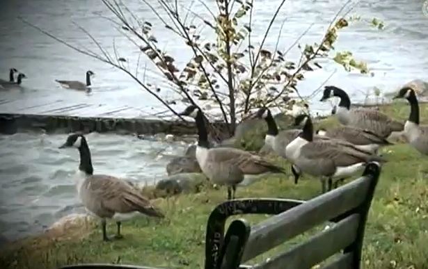 Algae treatment planned for Coes Reservoir, Indian Lake