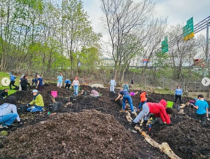 Worcester to share year 1 updates on Miyawaki Forests