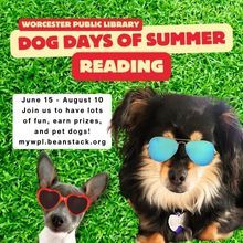 Worcester libraries ‘going to the dogs’ this summer