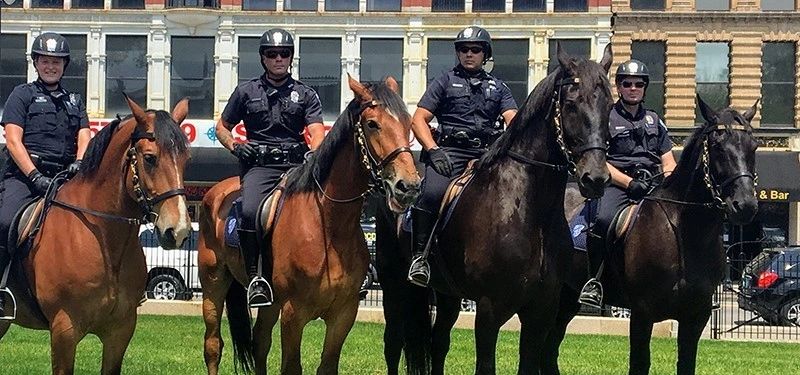 Amid priorities and staffing shortages, WPD horses get the boot