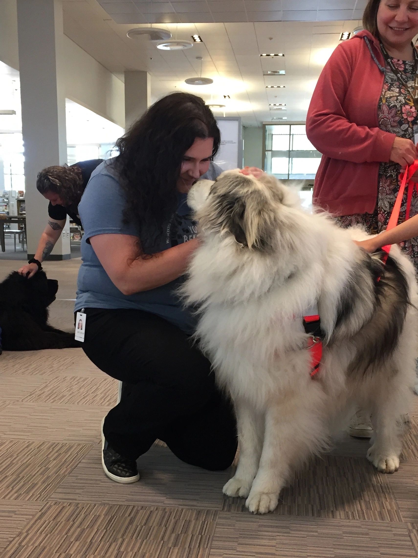 Badger is a big hit at the "De-Stress with the Dogs" program (photo submitted)