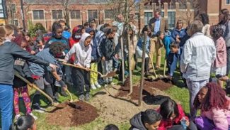 Community leaders were joined atStudents from the Goddard School of Science & Technology join community leaders for a ceremony and tree planting in 2022 at University Park (photo credit: City of Worcester)