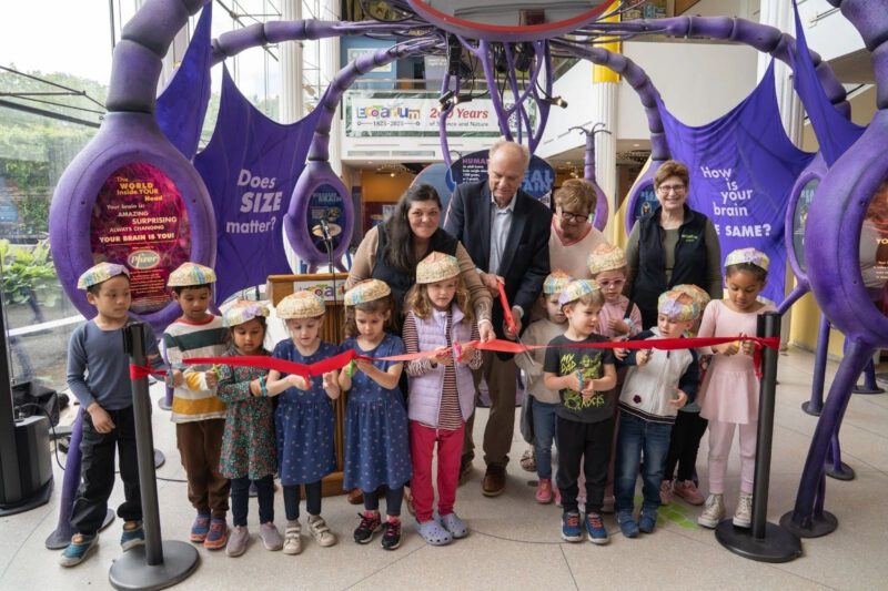 Get inside the ‘BRAIN’ at EcoTarium