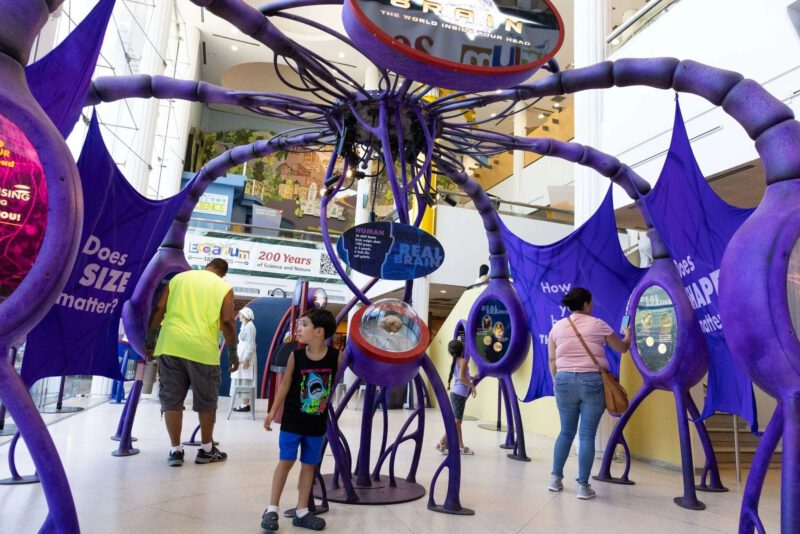 EcoTarium turns 200 with community-wide birthday bash