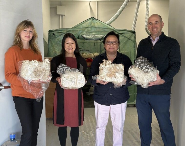 SEACMA launches mushroom initiative to address food insecurity