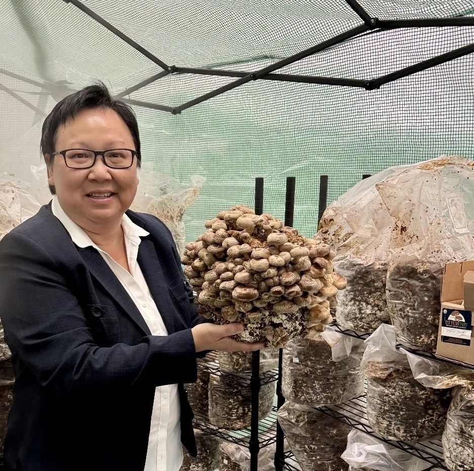 Southeast Asian Coalition Executive Director Tuyet Tran holding a block of shiitake mushrooms inside of their mushroom-growing tent (photo submitted)