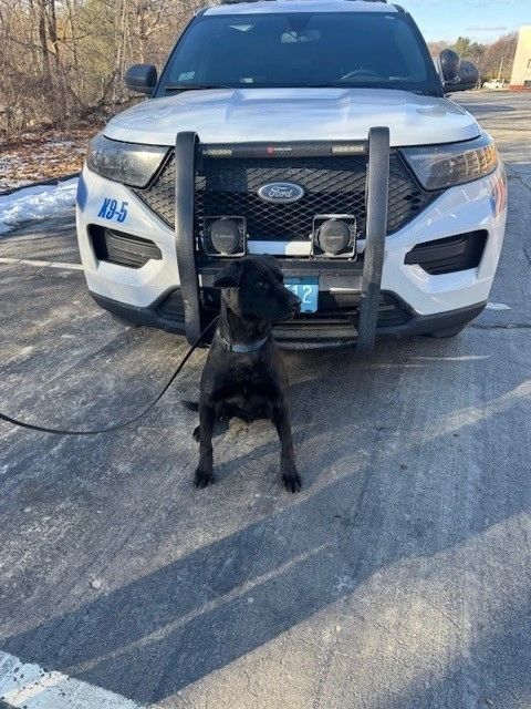 Mac and Officer Dan Pennellatore recently completed a rigorous 14-week patrol school (photo credit: WPD)
