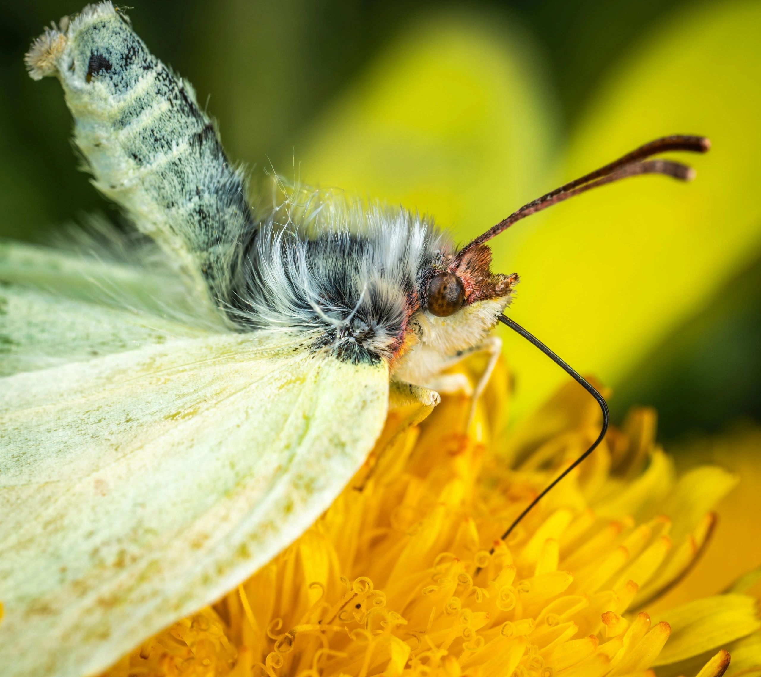 Photo credit: Pexels