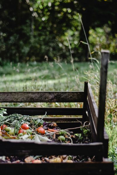 Worcester ranks among top 25% in national composting survey