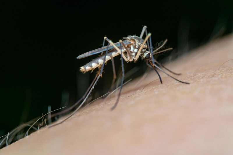 Mosquito control spraying set for July in Worcester