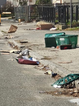 The city has recently unveiled plans to install 200 combination trash and recycling bins throughout Worcester (photo courtesy)